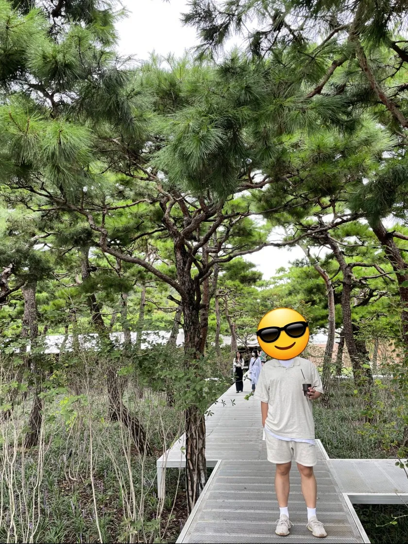 에센셜 숏슬리브 폴로 오트밀 - 21SS thumbnail 5