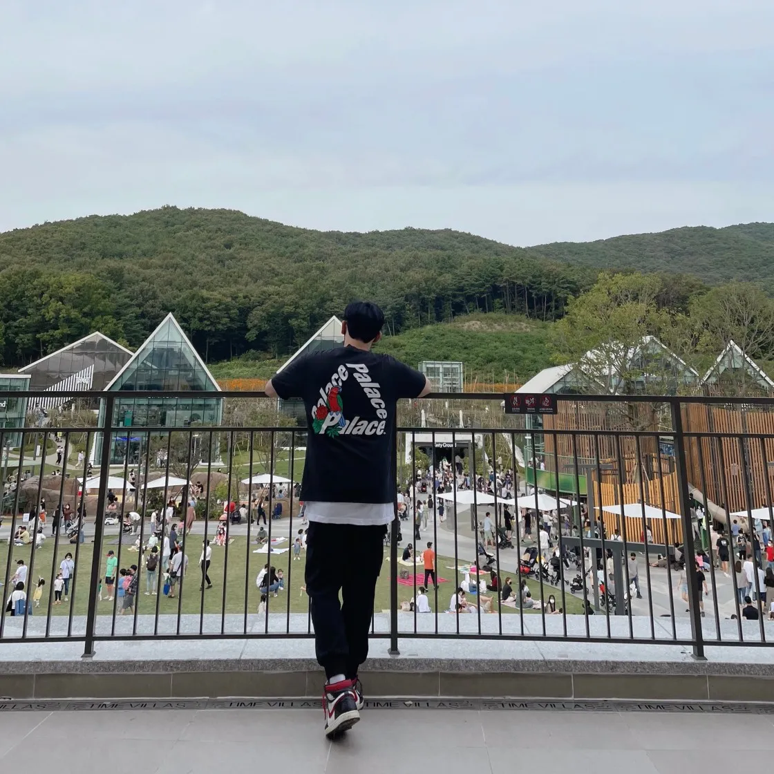 팔라스 패럿 팔라스-3 티셔츠 블랙 - 20FW thumbnail 5