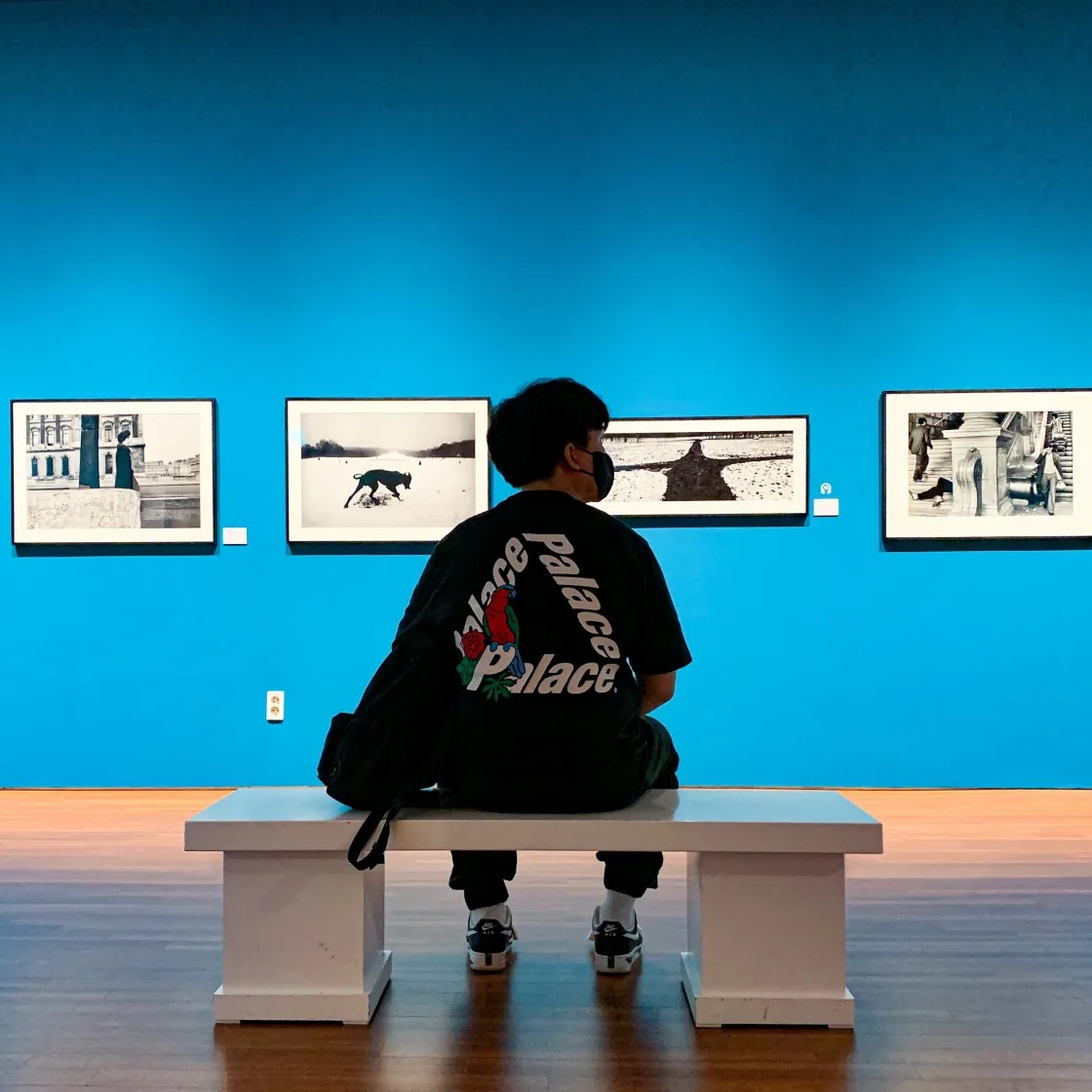 팔라스 패럿 팔라스-3 티셔츠 블랙 - 20FW thumbnail 6