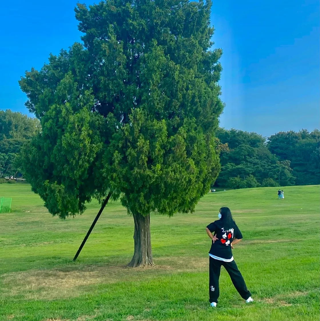 스투시 풀 덱 2 티셔츠 블랙 thumbnail 5