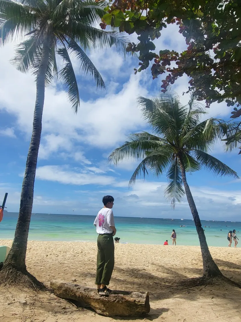 스투시 코스모스 티셔츠 화이트 thumbnail 5