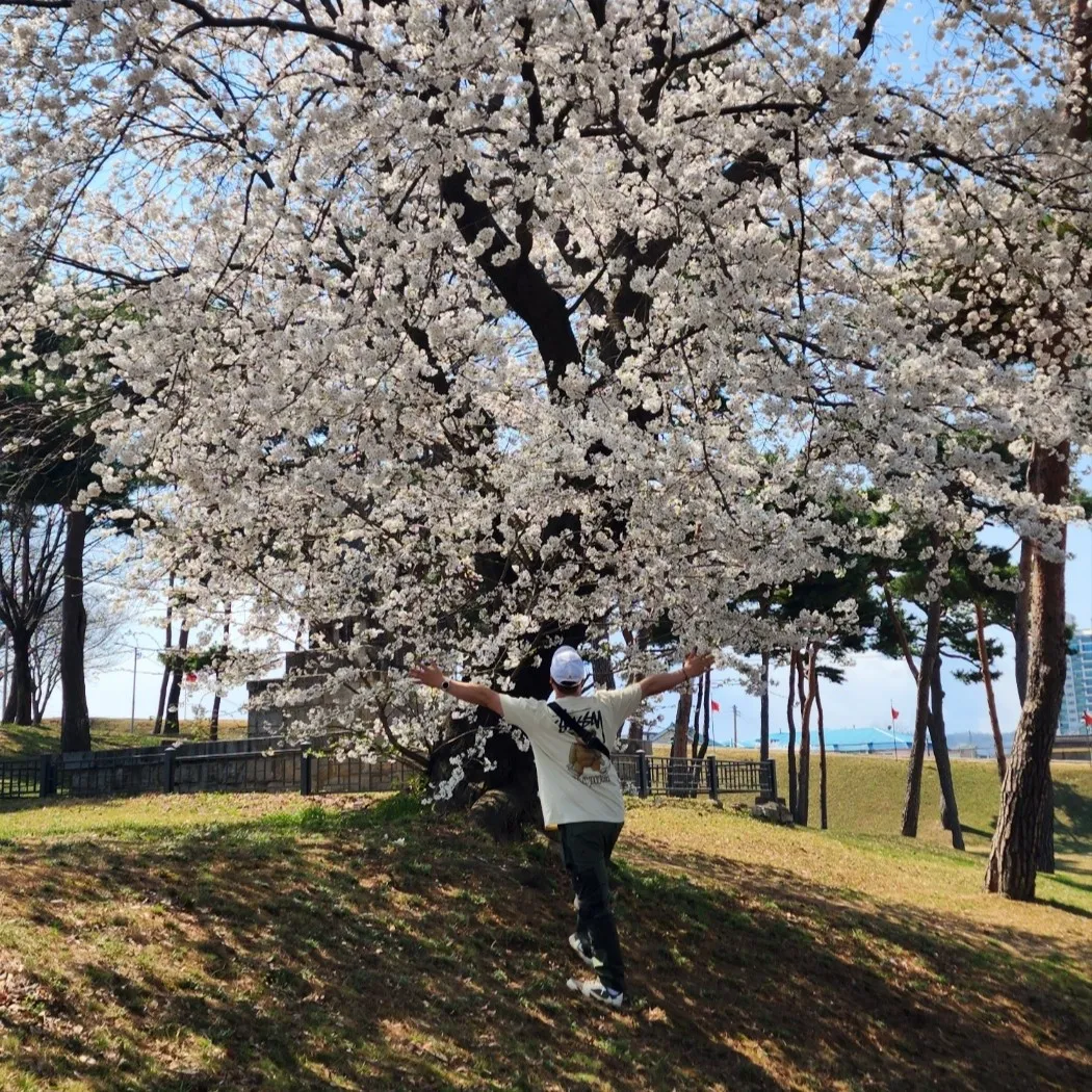 스투시 빌트 터프 티셔츠 퍼티 thumbnail 6