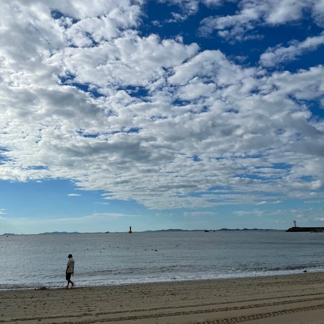 에센셜 숏슬리브 폴로 크림 - 21SS thumbnail 2