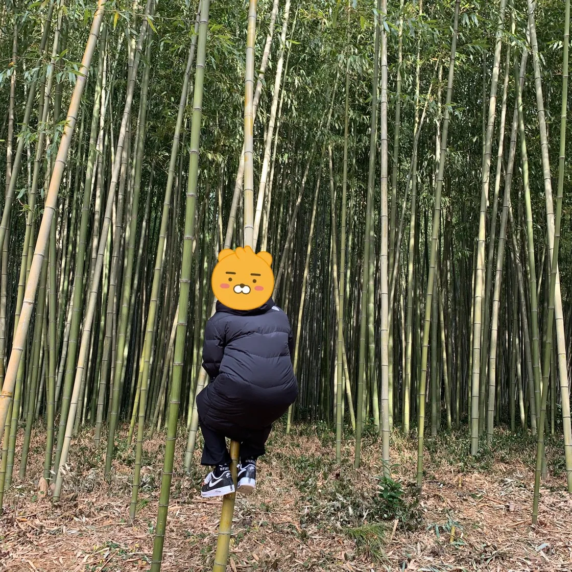 에센셜 3D 실리콘 아플리케 박시 티셔츠 웨더드 블랙 - 20FW thumbnail 6