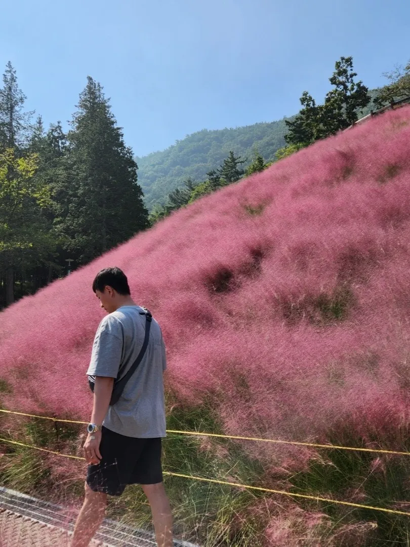 에센셜 티셔츠 헤더 오트밀 - 21SS thumbnail 5