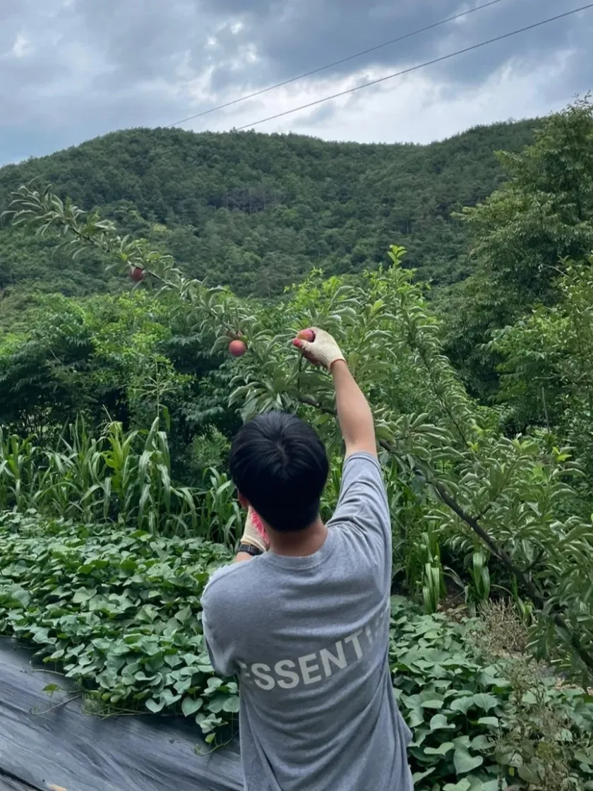 에센셜 티셔츠 헤더 오트밀 - 21SS thumbnail 7