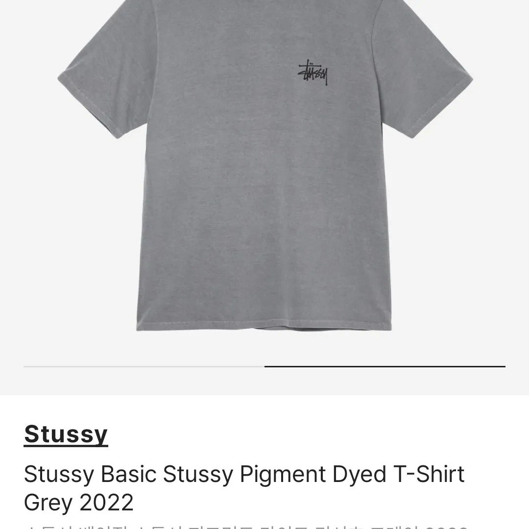 스투시 베이직 스투시 피그먼트 다이드 티셔츠 그레이 2022 thumbnail 9