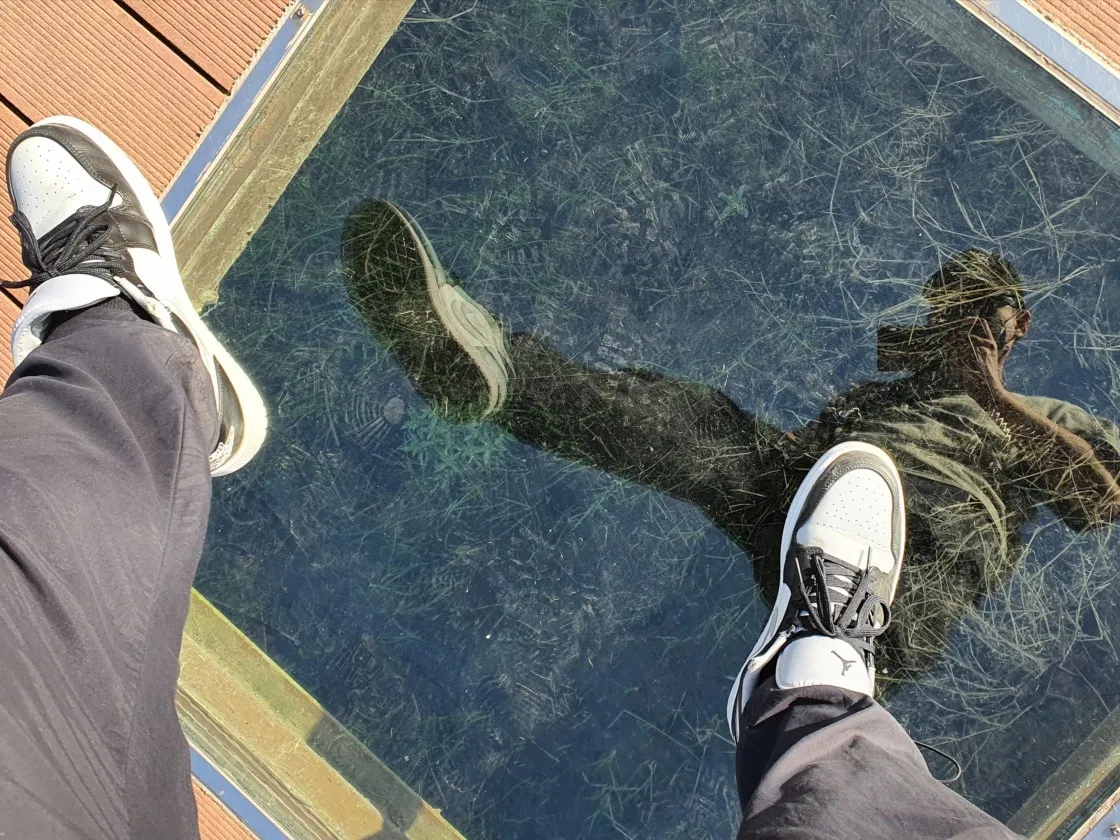 에센셜 숏슬리브 폴로 헤더 오트밀 - 21SS thumbnail 8