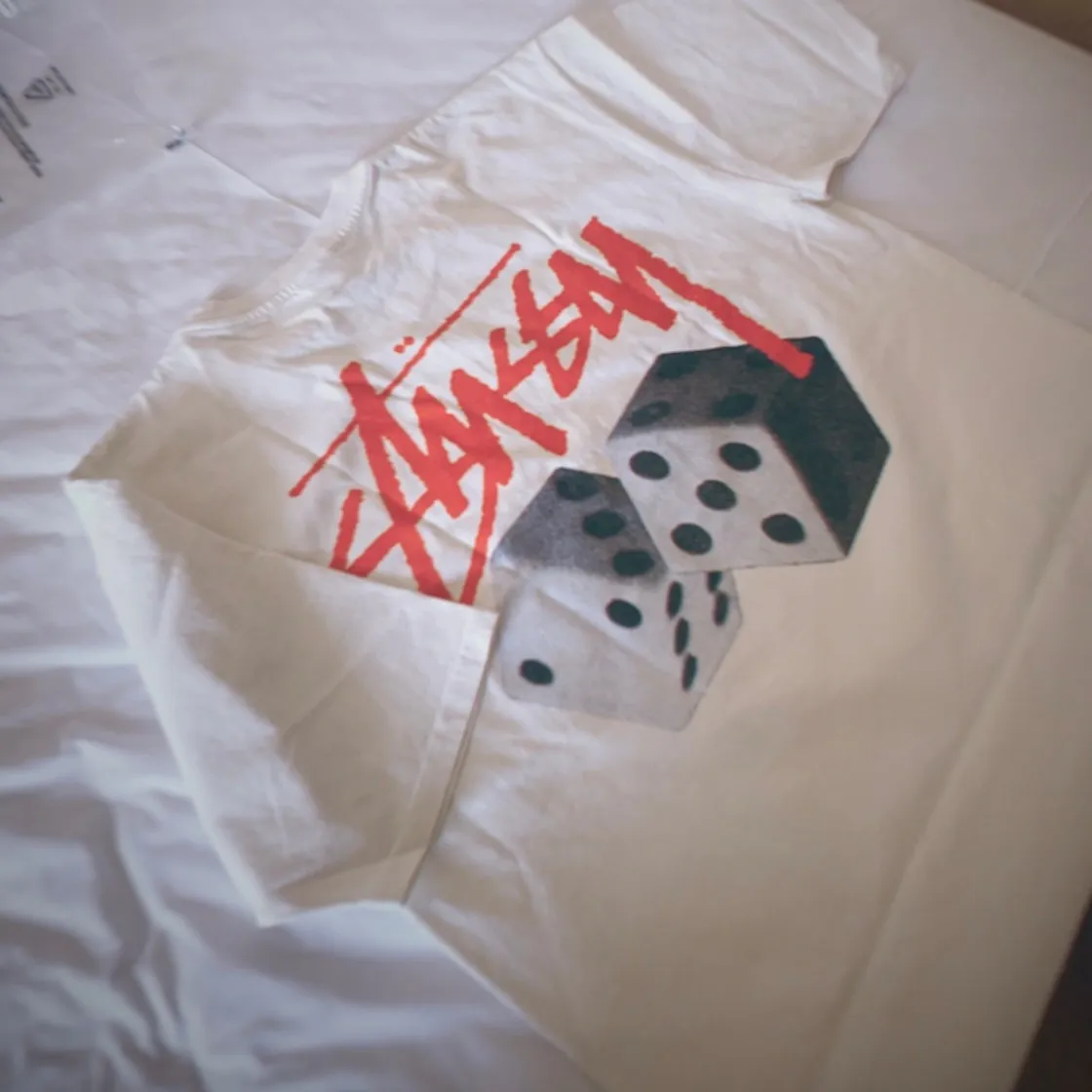 스투시 롤 더 다이스 피그먼트 다이드 티셔츠 내츄럴 thumbnail 5