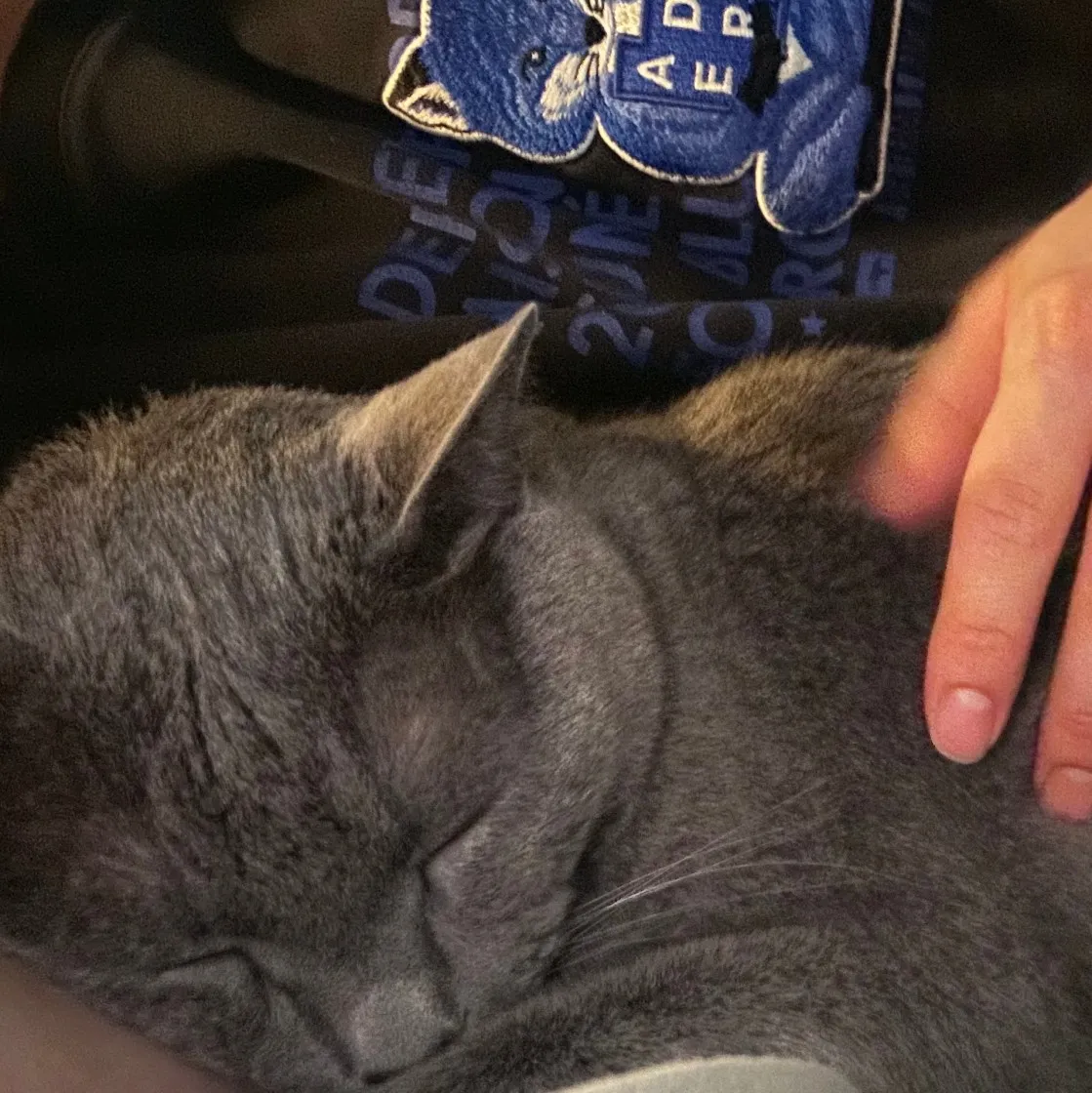 메종 키츠네 x 아더에러 메디테이션 폭스 티셔츠 블랙 thumbnail 2