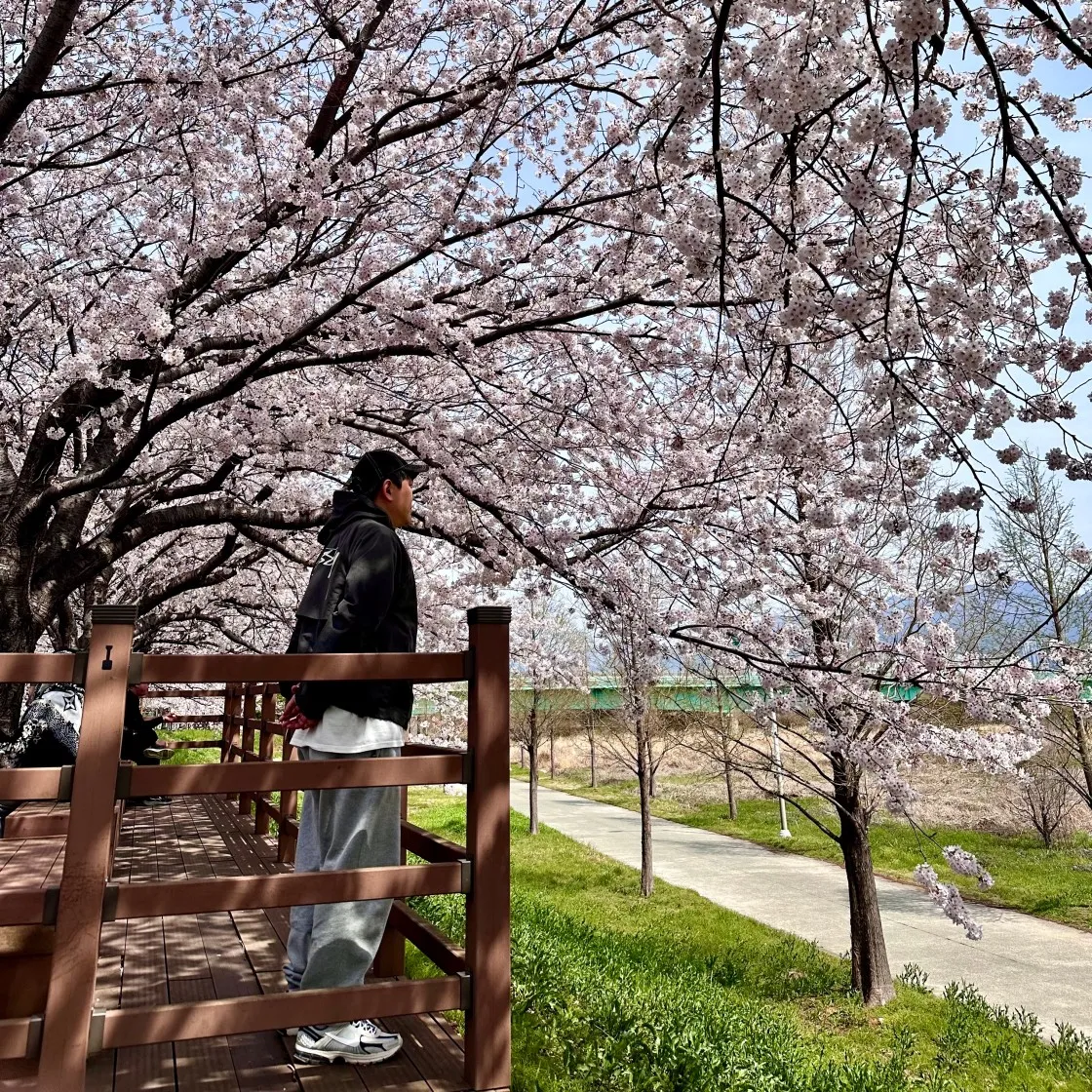 스투시 8볼 피그먼트 다이드 티셔츠 내츄럴 thumbnail 2