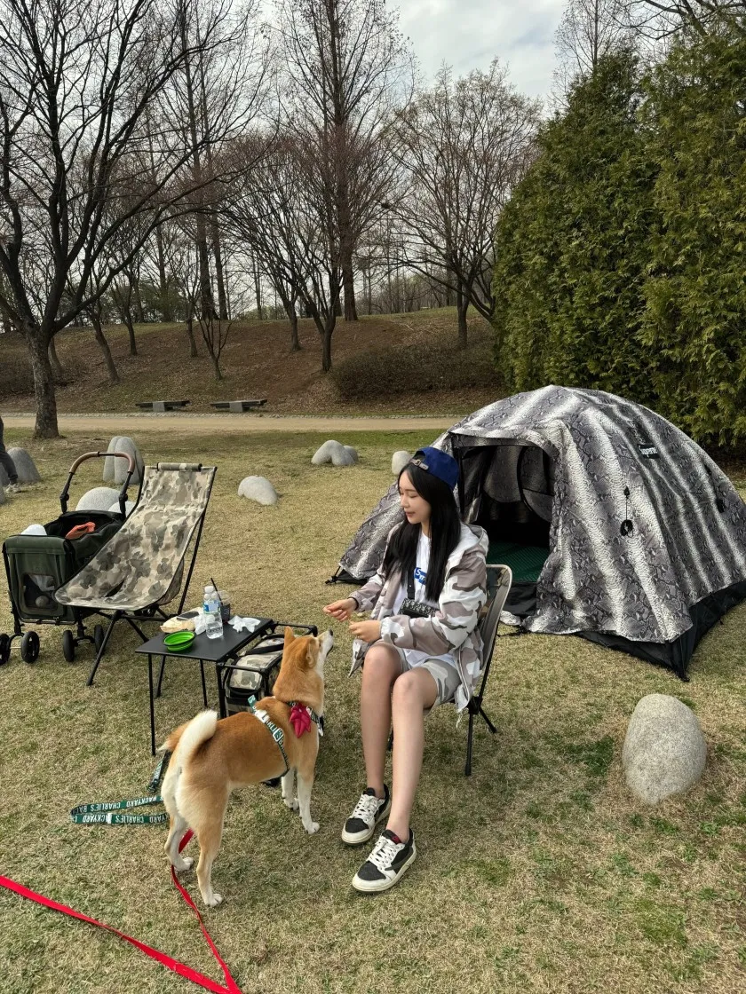 슈프림 서울 박스로고 티셔츠 화이트 - 23FW thumbnail 2