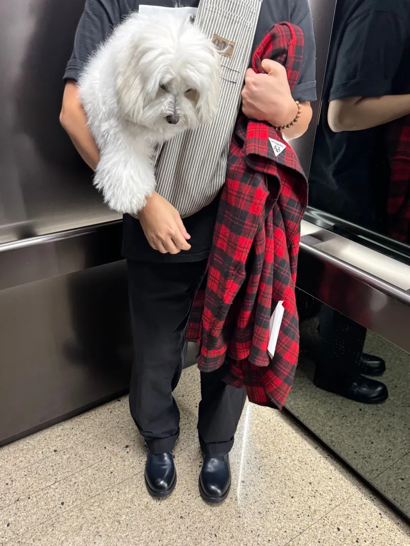 슈프림 NBA 영보이 티셔츠 블랙 - 23FW thumbnail 3