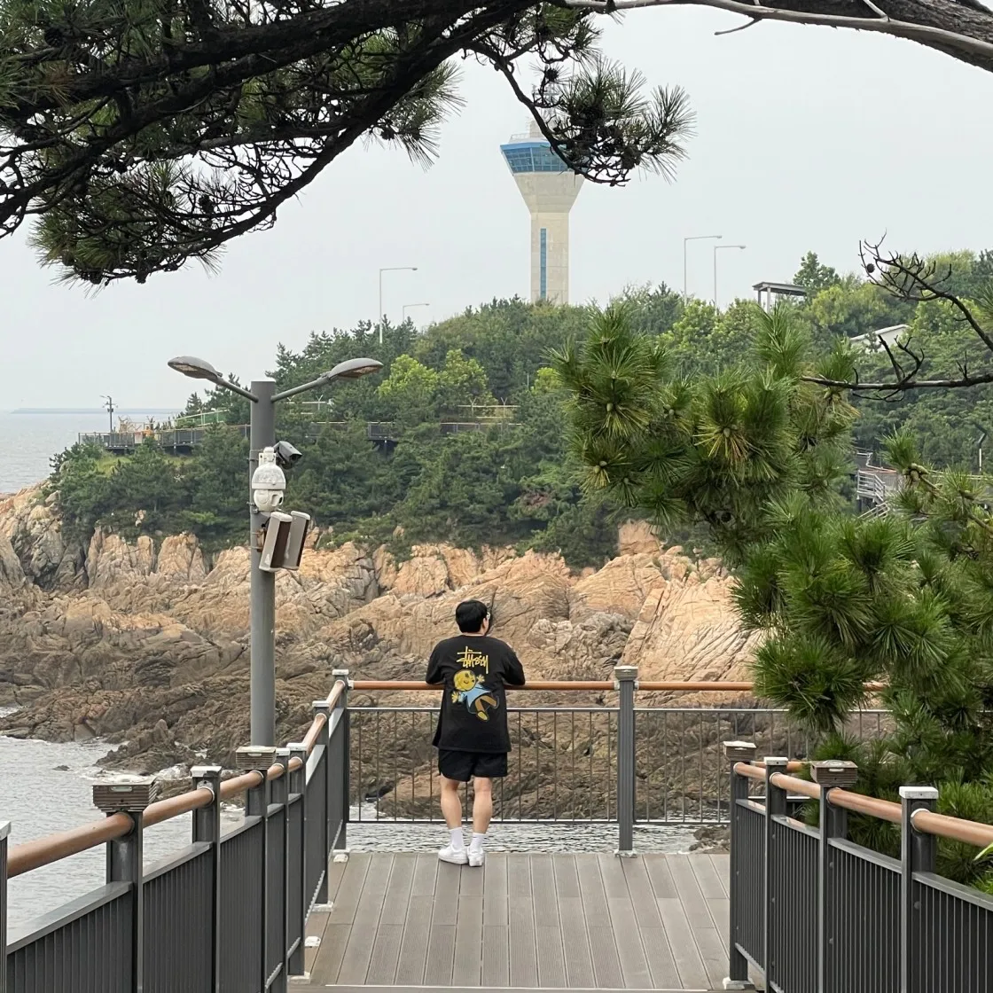 스투시 돌리 피그먼트 다이드 티셔츠 블랙 thumbnail 6