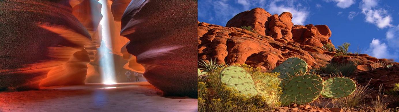 ARIZONA BANNER