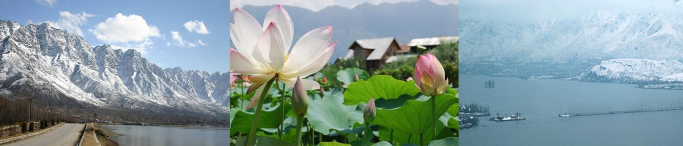 SRINAGAR