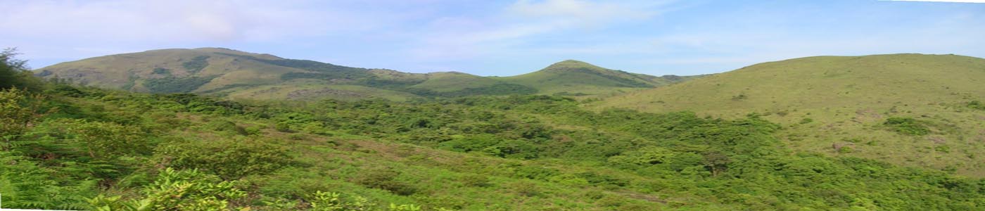 Coorg (Madikeri) travel scenery
