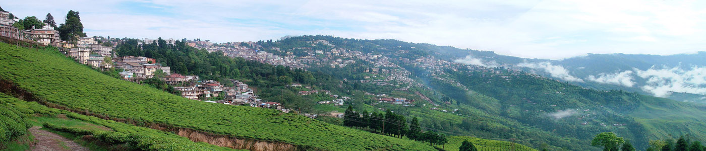 East & Northeast India landscape