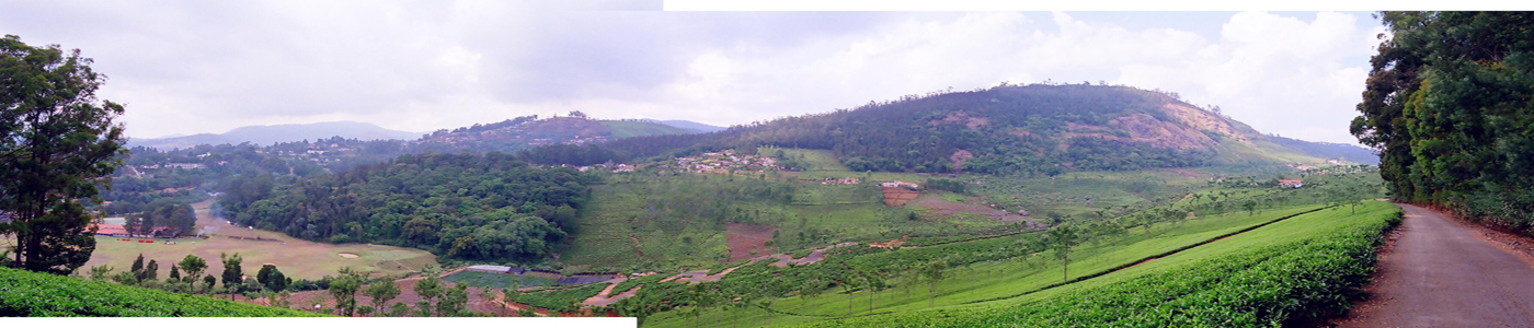 Coonoor travel scenery