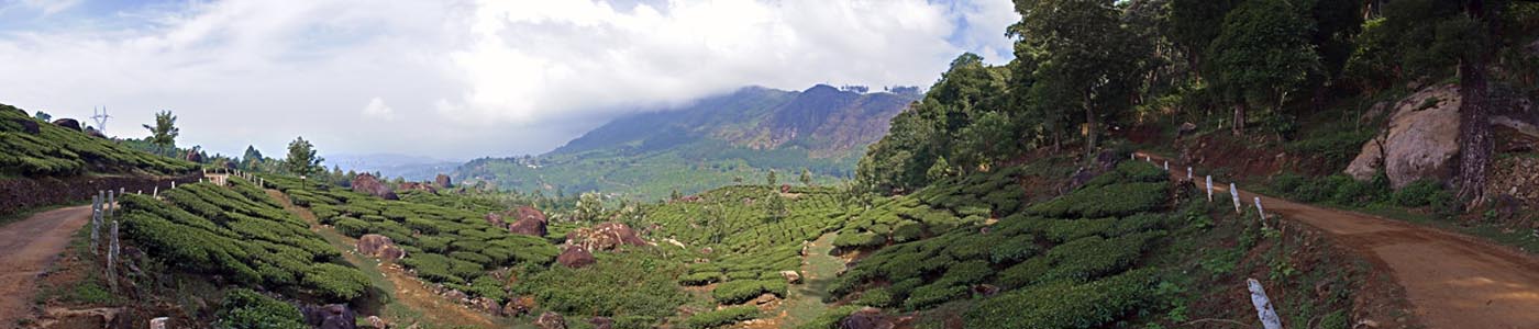 Munnar travel scenery