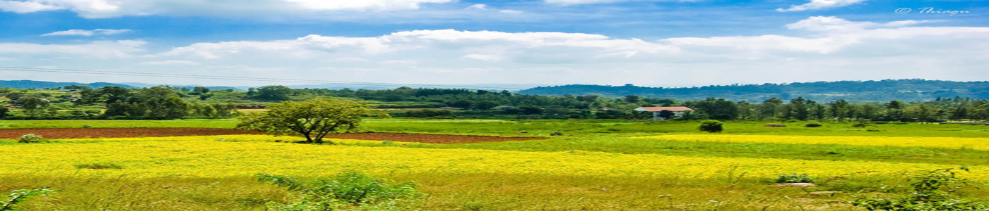 Yelagiri travel scenery