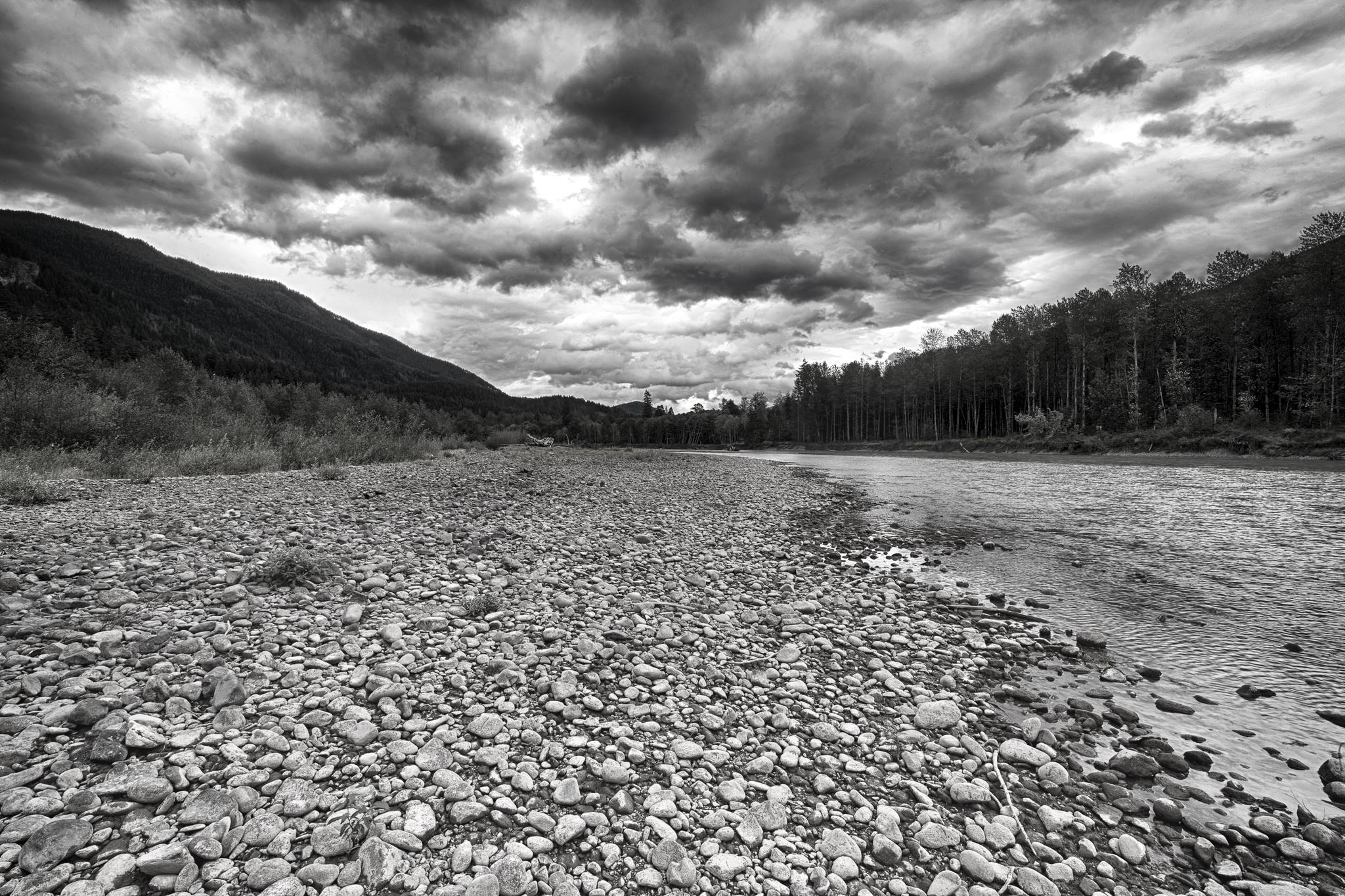 The wide, flowing Cowlitz River in Washington with forested banks.