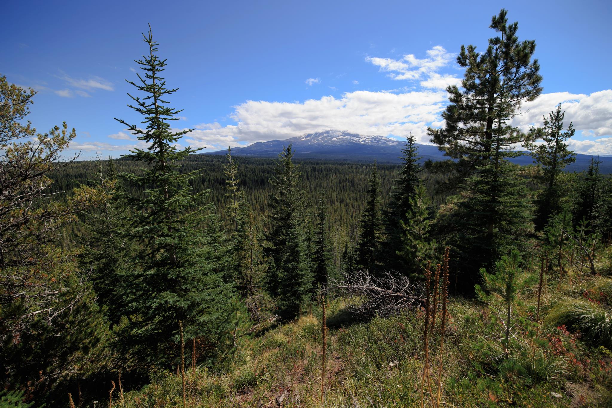 A panoramic mountain view with layers of peaks stretching into the distance.
