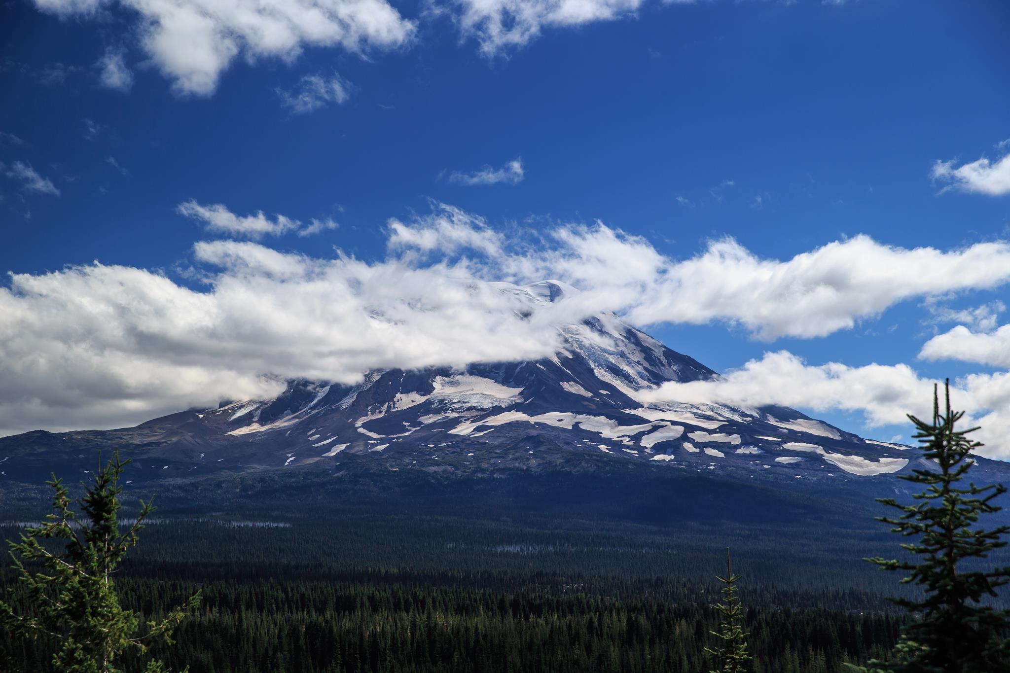 A distant shot of the snow-capped peak of Mt. Adams.