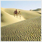 Mount Abu travel scenery