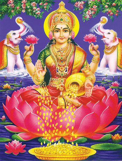 LAKSHMI LOTUS