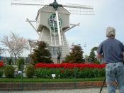 PHOTO SPOT IN SKAGIT VALLEY