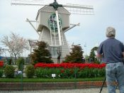 CENTER OF SKAGIT VALLEY TULIP 