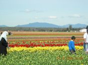 WOMEN WALKING IN FLOWERS