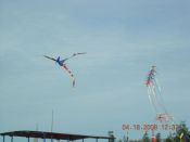 BIG KITES