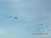 2 KITES IN SKY