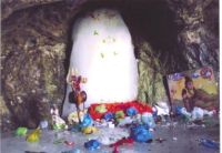 AMARNATH