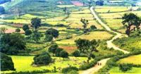 ARAKU VALLEY