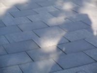 DSCF0684