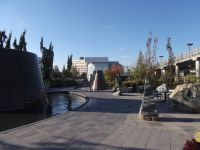 DSCF0711
