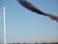 DSCF0724