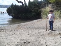 DSCF1017