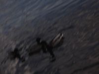 DSCF1025
