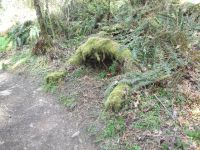 DSCF1068