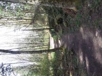DSCF1069