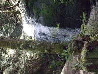 DSCF1071