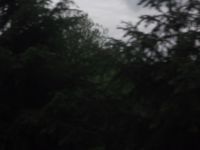 DSCF1090