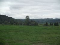 DSCF1092