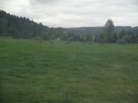 DSCF1093