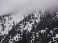 DSCF1126