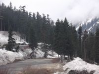 DSCF1132